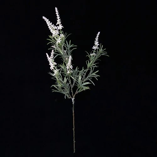 UV proof lavender001 UV proof lavender001